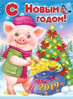С НОВЫМ 2019 ГОДОМ!!!