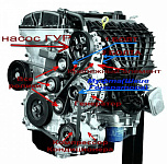 Ремень приводной, (PM_MK 0711), 1.8/2.0/2.4L / 6PK2556, Exc. Diesel, w/A/C,  MOPAR (04891598AB)